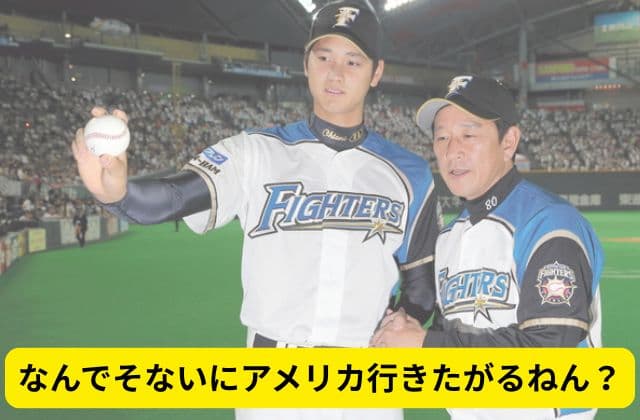 「大谷翔平好き❤野球知らんけど!」な人にも送る押しポイント記事