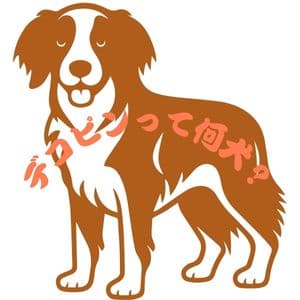 デコピンって何犬?大谷選手といつから家族?あなたも家族になれる?