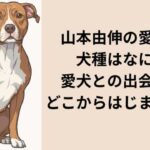 山本由伸の愛犬の犬種はなに？愛犬との出会いはどこからはじまった！