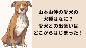 山本由伸の愛犬の犬種はなに？愛犬との出会いはどこからはじまった！